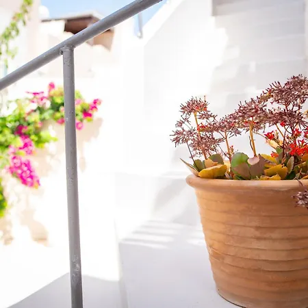 Apellou House Apartamento *